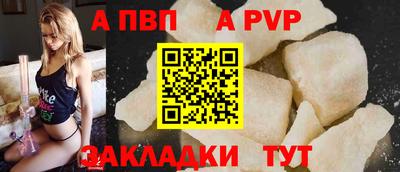 тгк Бийск
