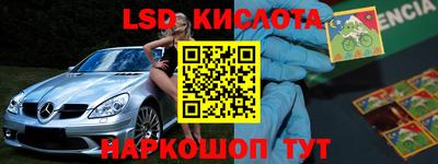 тгк Бийск