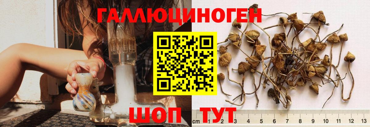 Галлюциногенные грибы мухоморы  где можно купить   Галлюциногенные грибы ЛСД  Воскресенск  Вход с VPN 